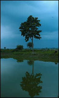 দীর্ঘ পথ চলার শেষে