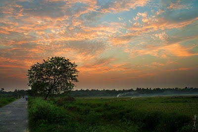 তার পরশরেণু মাগে