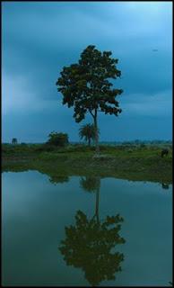 দীর্ঘ পথ চলার শেষে