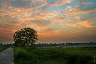 তার পরশরেণু মাগে