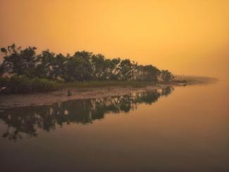 sundarban