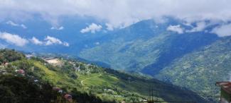 Darjeeling Valley